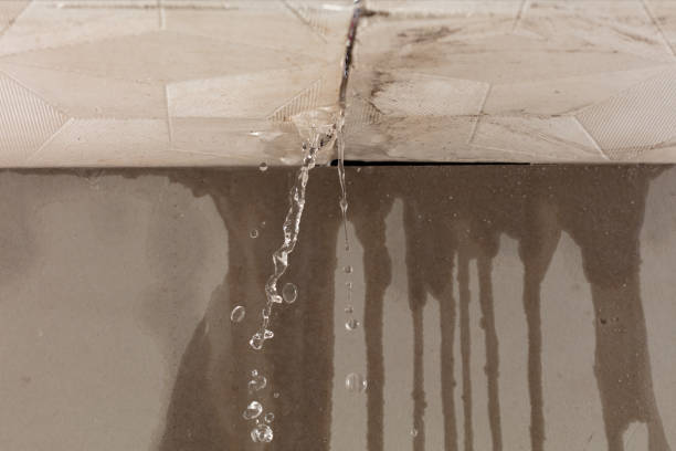 Professional Water Extraction technician working in Langley, SC